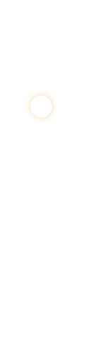 鮮度に自信朝びき鶏のお造り